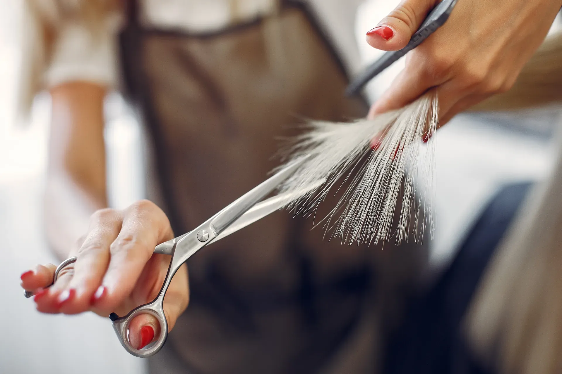 Women's Haircut